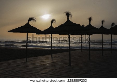 dawn on the beach sand canopy sea