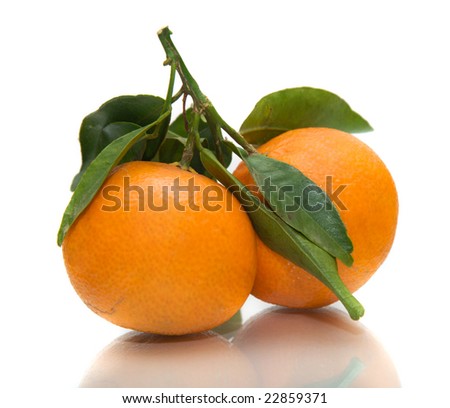 two tangerines on a white background