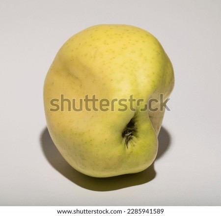 Ugly mutant apple. The fruit is yellow on a white background.