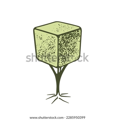 Sketch of topiary coniferous trees. Sheared thuja cube on a stem. Geometric trees for advertising and landscape design. Isolated on white background. Vector