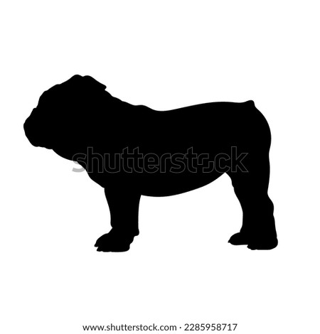 English Bulldog. Vector.Dog breeds. Silhouette. 