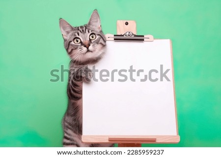 a cute tabby cat holding with blank whiteboard on isolated pastel color background, playful and adorable pet