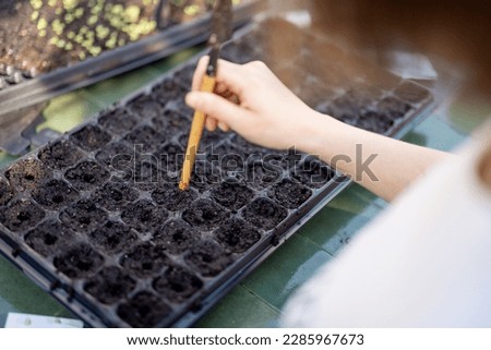 Gardener sowing seeds into seedling trays, while sitting by the table outdoors, close-up Royalty-Free Stock Photo #2285967673