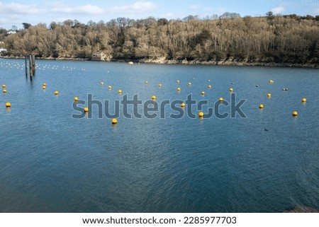 yellow bouys on the Fowey river cornwall uk 