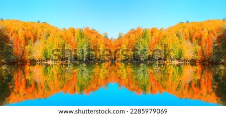 Abstract mirror effect of Autumn landscape in (seven lakes) Yedigoller Park Bolu, Turkey