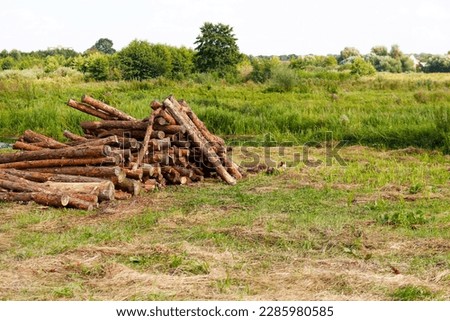 Pile firewood. Dry wood for bonfire in green grass meadow. Camping season. Stack wood log bonfire, cartoon sticks branches timber forest tree for burning fire, bundle dry brushwood.