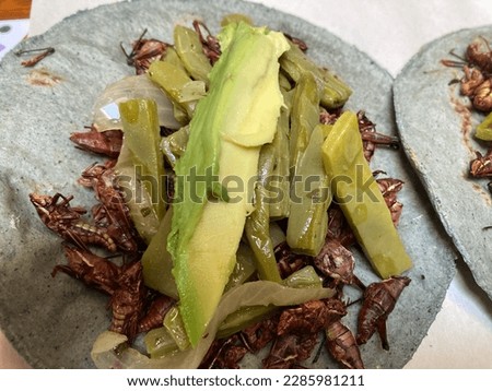 Tacos de chapulin with blue tortilla avocado and nopal