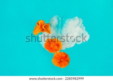 Creative concept of cloud in blue sky with falling orange flowers. Blossomed pansies in the air. Flat lay.