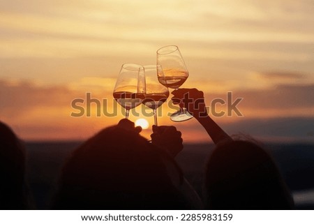 A group of girlfriends raise a toast with glasses of white wine on a sunset. Close shot.	
 Royalty-Free Stock Photo #2285983159