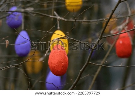 Selective focus photo. Colorful Easter egg decors hanged on branch of tree.