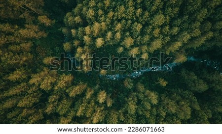 drone aerial birds eye view of a large green grass forest with tall trees and a big blue bendy river flowing through the forest in Indonesia