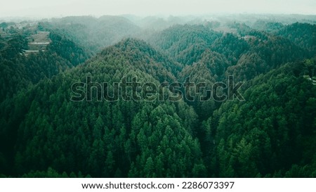 Top view of dark green forest landscape in winter. Aerial nature scene of pine trees. Countryside path trough coniferous wood form above. Adventure travel concept background. Royalty-Free Stock Photo #2286073397