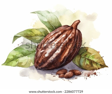 watercolor Cocoa pods and leave isolate on white Background Royalty-Free Stock Photo #2286077729