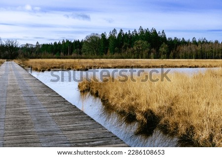 Wooden pier over the lake