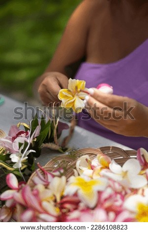 Woman making Hawaiian Lei and Hahu. Process of Handmade flower crown made from Hawaii flower Plumeria. Royalty-Free Stock Photo #2286108823