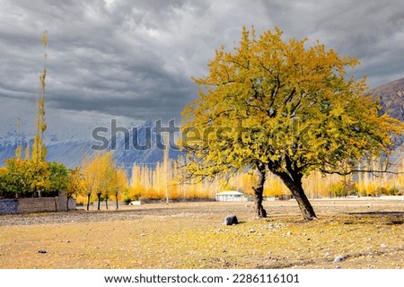A colourful autumn landscape in a Darkut Valley Pakistan