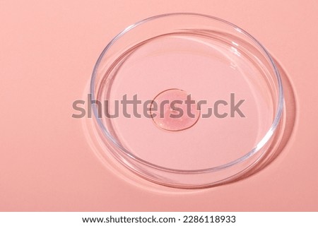 Big drop of rose gold. Or liquid pink with sparkles. In a Petri dish on a pink background. Laboratory, chemistry, cosmetics, glitter.