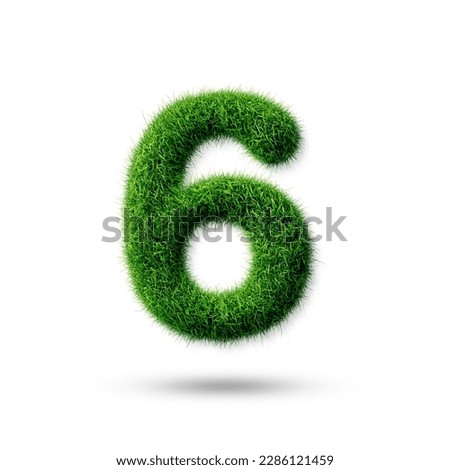 A number 6 with grass on a white background, eco text effect, isolated number with grass effect high quality