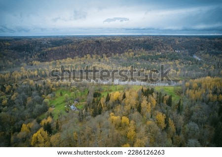 Above aerial shot of green pine forests and yellow foliage groves with beautiful texture of golden treetops. Beautiful fall season scenery in evening. Mountains in autumn colors in golden time