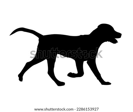 Silhouette dog Running isolated on white background