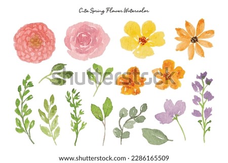 Beautiful Spring and Summer Wild Flower Watercolor Collection