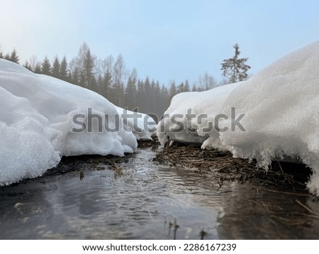 Small stream with snow on each side during late winter.