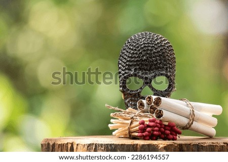 Cigarettes , match and skull symbol of death on nature background.World No Tobacco Day Concept.
