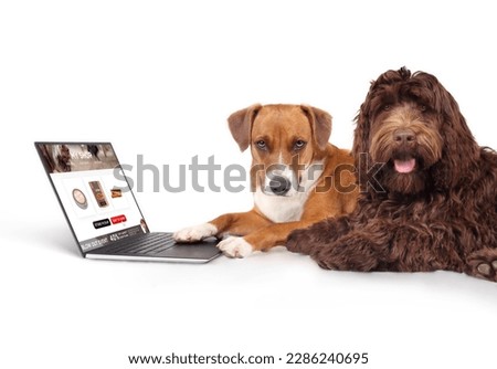 Dog ordering products online while using laptop computer with paw. Two dogs with mockup shopping card screen. Funny pet themed concept for ecommerce, ordering online or delivery. Selective focus.