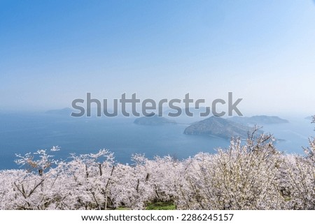 Sakura and Seto Inland Sea of Shiudeyama in Mitoyo City, Kagawa Prefecture Royalty-Free Stock Photo #2286245157