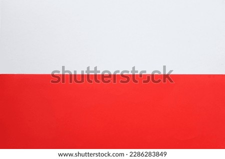 two tone red white paper color for background. 
Two color paper with Overlay on the floor And split half of the image. background.Top view with place for text