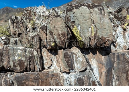 Panorama rock drawing of ancient people petroglyph animal deer with antlers and people hunters on bright stones in the mountains in Siberia in Altai at daytime.