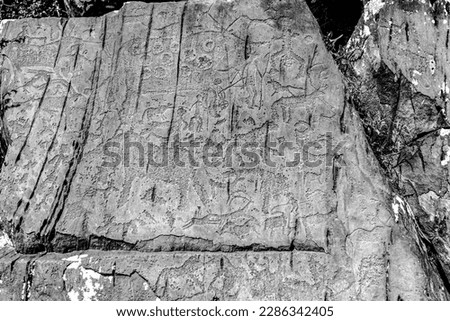 Rock drawing of ancient people of different animal deer with antlers on a stone in the Altai mountains in the light of the sun. Black and white photo.