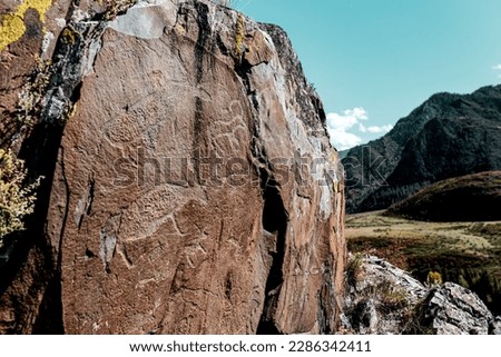 Rock drawing petroglyphs of ancient people animal deer on stones behind the panorama of the mountains and the Altai river in Siberia during the day.