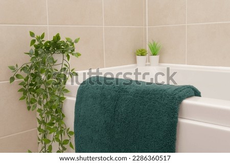 Neutral colour home interior in bathroom