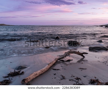 Blue hour, beach, branch, beautiful colors, colorfull