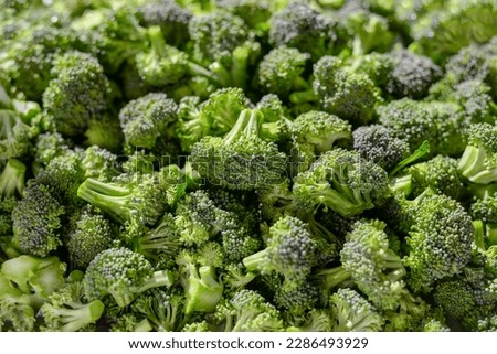 fresh raw broccoli, healthy food. bright light, close-up