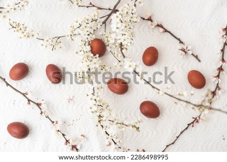 Easter background with colored eggs, colored easter eggs and blooming branches. Easter composition.