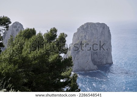 Capri, Italy. The rock "Scoglio del Monacone" rises from the misty waters of the Mediterranean Sea. A branch of a pine tree reaches into the picture.