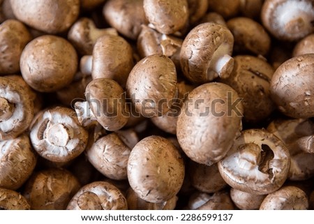 A background of Brown Crimini Mushrooms Royalty-Free Stock Photo #2286599137