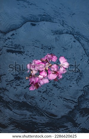 Bouquet of pink fresh tropical flowers in water. Aesthetic details