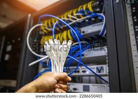 Hand choose lots of RJ45 UTP Cat6 LAN internet network cable fiber optic and Lots of Ethernet cables for data link connect computer server networking devices system to switch or hub modem router. Royalty-Free Stock Photo #2286650405