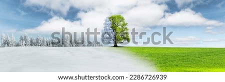 Season change from winter landscape to summer landscape Royalty-Free Stock Photo #2286726939