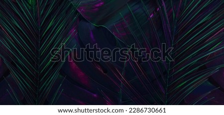 Creative arrangement of tropical leaves in vibrant fluorescent hues. A beautiful representation of the beauty of nature, with the added twist of neon colors. Flat lay background.