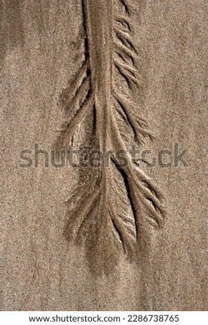 Interesting low tide patterns in wet sand 