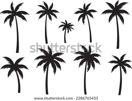 Black palm tree set vector illustration on white background silhouette 