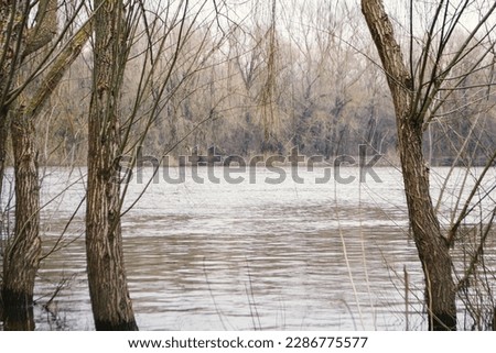 The river in spring time is in the background. High quality photo