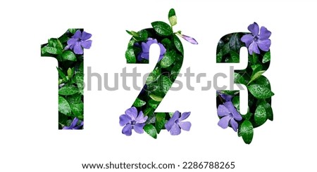 Flowers number 1, 2, 3 from real alive flower with raindrops. Flower font concept. Collection of beautiful flora number for your unique decoration in spring, summer or several concept ideas Royalty-Free Stock Photo #2286788265