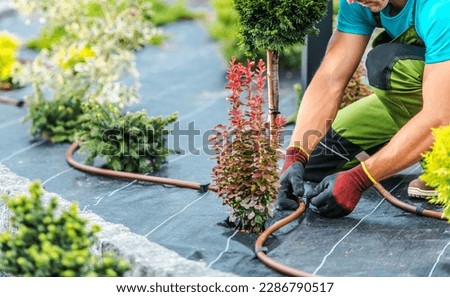 Drip Irrigation System Building by Professional Landscaper Inside Newly Developed Back Yard Garden. Landscaping and Gardening Technologies. Royalty-Free Stock Photo #2286790517