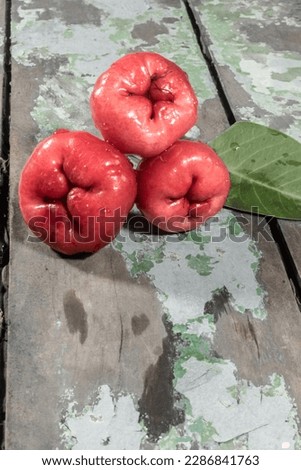 The Asian Champoo fruits. rose apple, bell fruit.