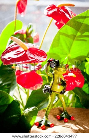 Photographer frog holding a photo camera in bright red colors.